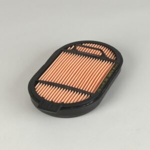 Filtro Aire 2º P615493 Marca DONALDSON